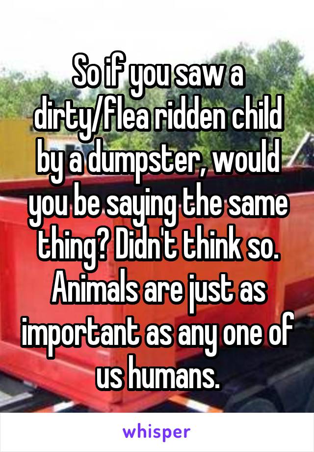 So if you saw a dirty/flea ridden child by a dumpster, would you be saying the same thing? Didn't think so. Animals are just as important as any one of us humans.