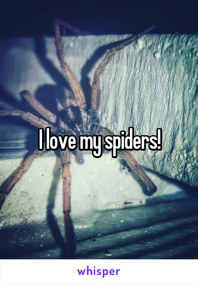 I love my spiders!