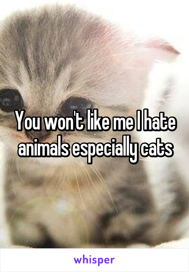 You won't like me I hate animals especially cats