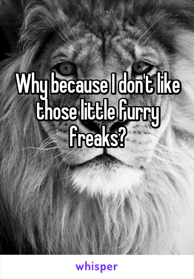 Why because I don't like those little furry freaks?

