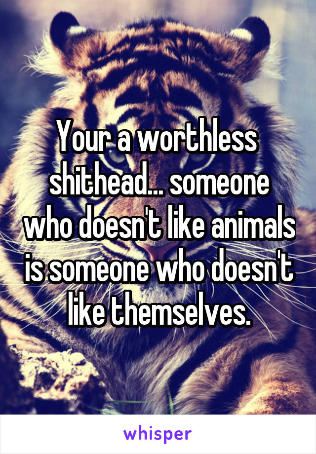 Your a worthless  shithead... someone who doesn't like animals is someone who doesn't like themselves.