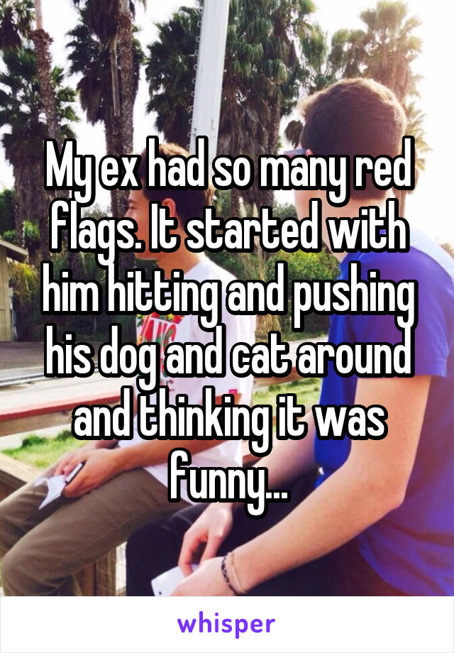 My ex had so many red flags. It started with him hitting and pushing his dog and cat around and thinking it was funny...