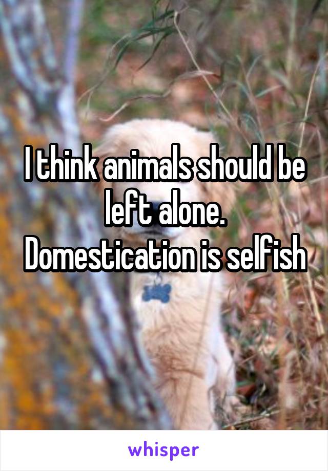 I think animals should be left alone. Domestication is selfish 