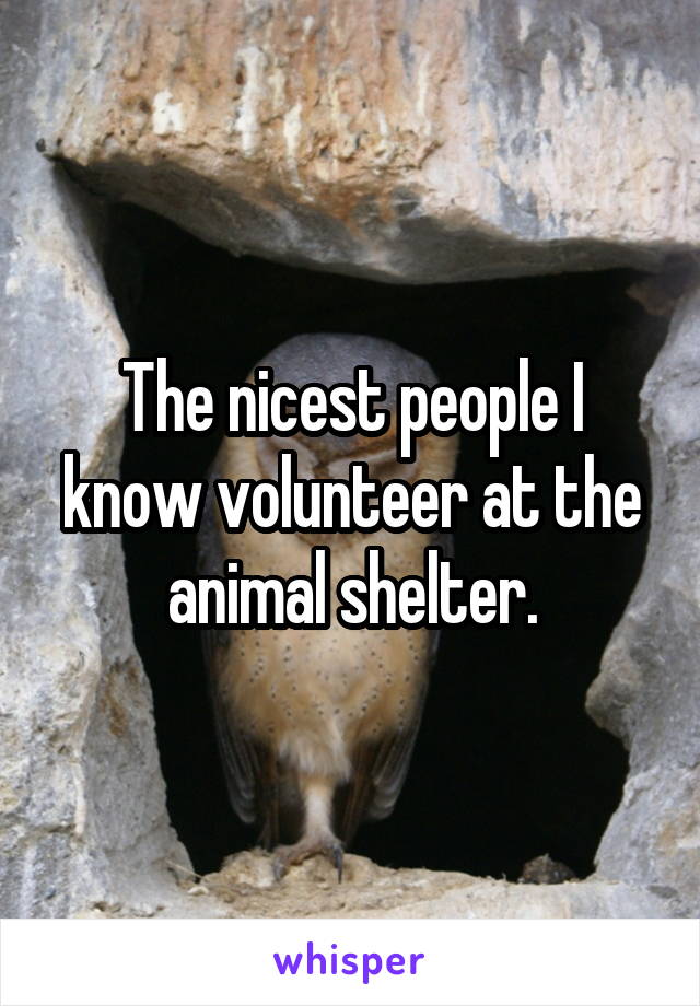 The nicest people I know volunteer at the animal shelter.