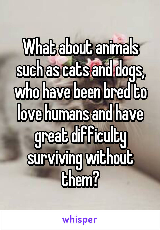 What about animals such as cats and dogs, who have been bred to love humans and have great difficulty surviving without them?