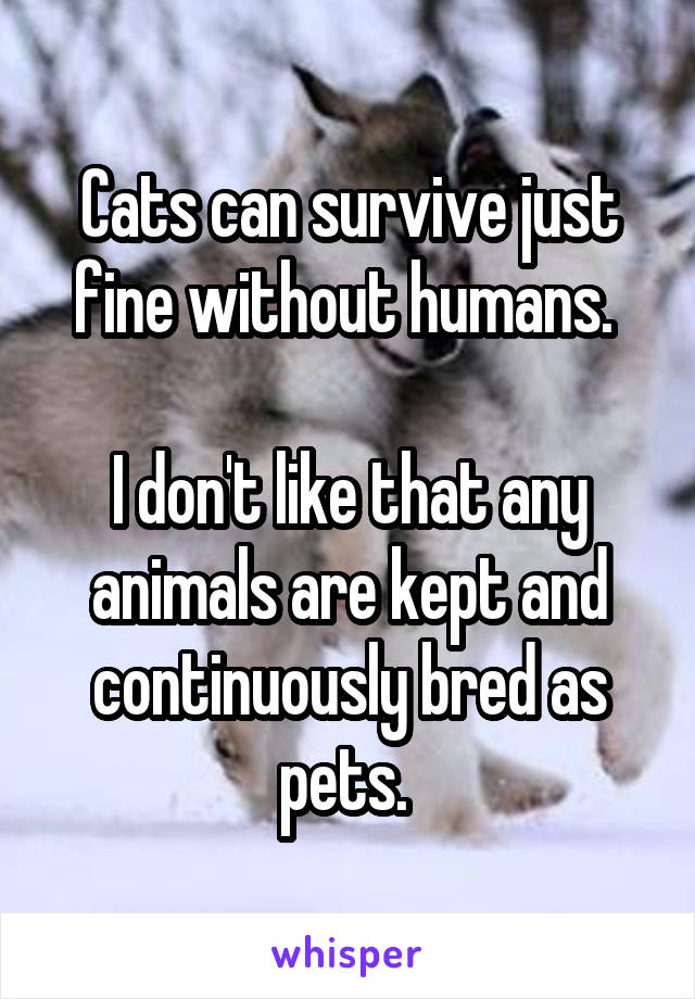 Cats can survive just fine without humans. 

I don't like that any animals are kept and continuously bred as pets. 