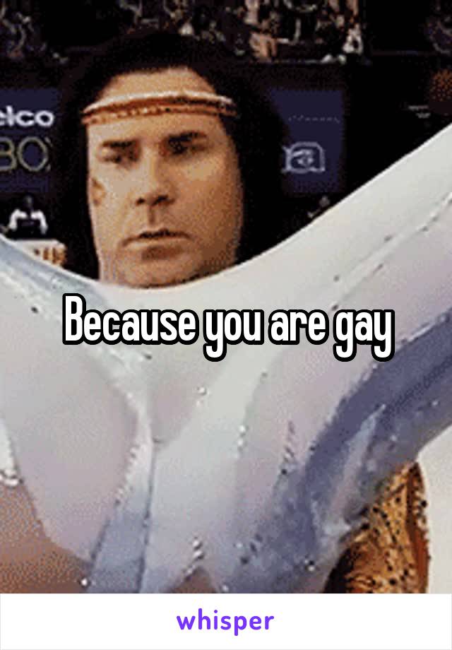 Because you are gay