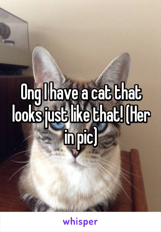 Ong I have a cat that looks just like that! (Her in pic)