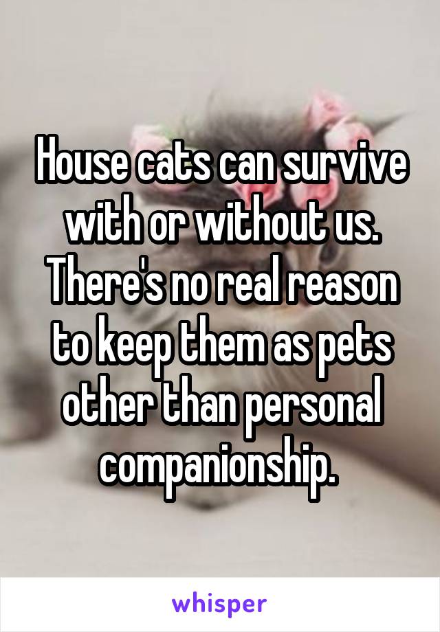 House cats can survive with or without us. There's no real reason to keep them as pets other than personal companionship. 