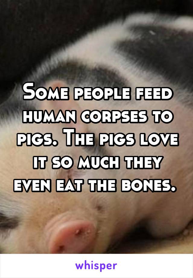 Some people feed human corpses to pigs. The pigs love it so much they even eat the bones. 