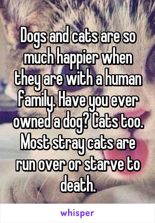 Dogs and cats are so much happier when they are with a human family. Have you ever owned a dog? Cats too. Most stray cats are run over or starve to death.