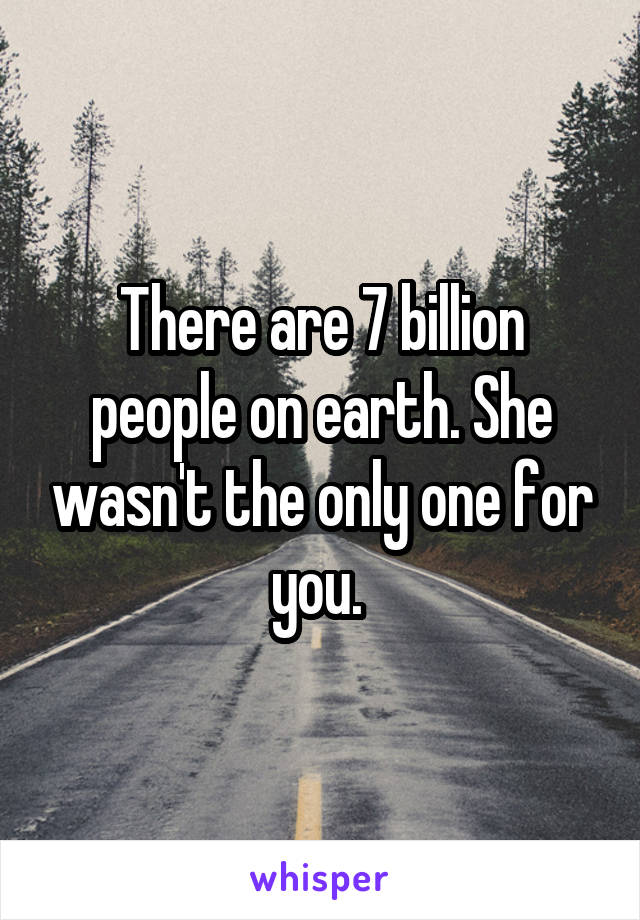 There are 7 billion people on earth. She wasn't the only one for you. 