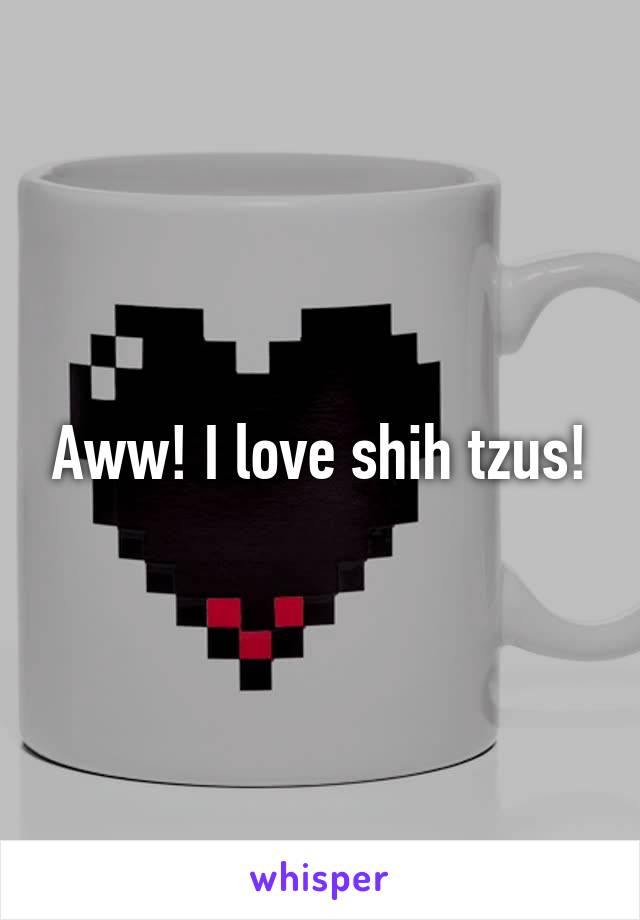 Aww! I love shih tzus!