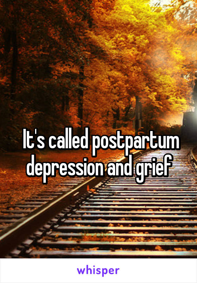   
 It's called postpartum depression and grief