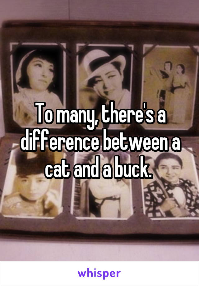 To many, there's a difference between a cat and a buck. 