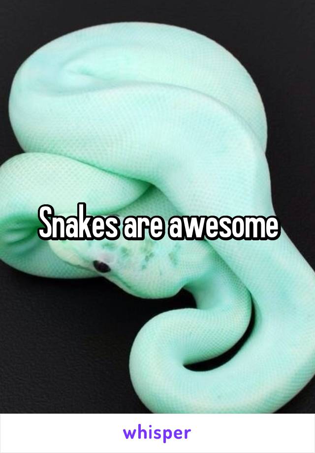Snakes are awesome