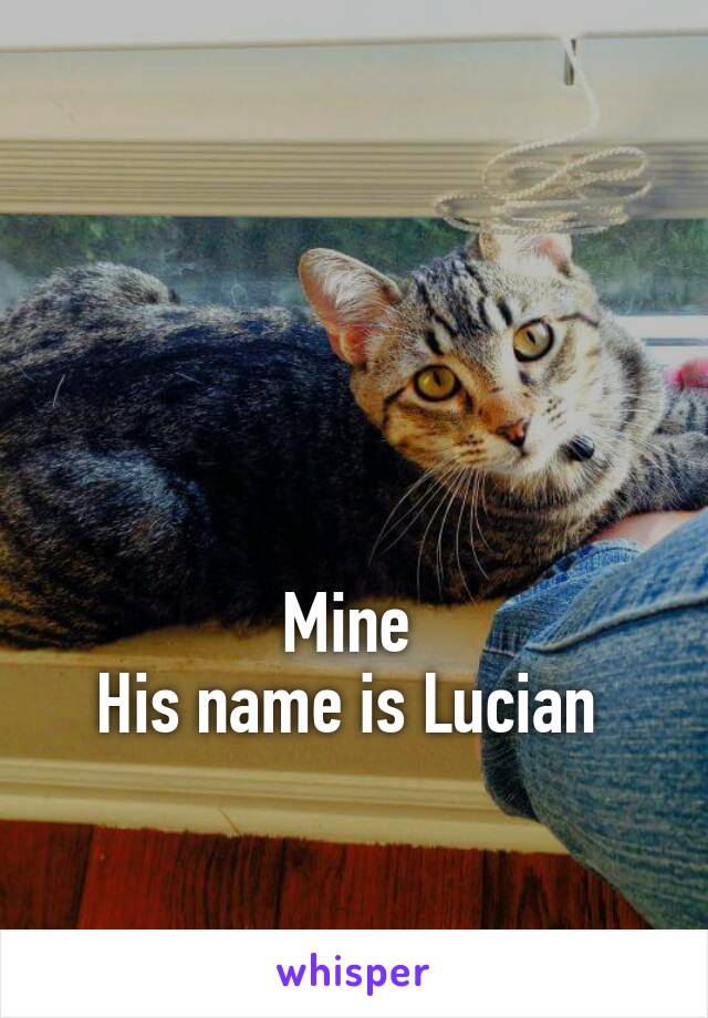 



Mine 
His name is Lucian 