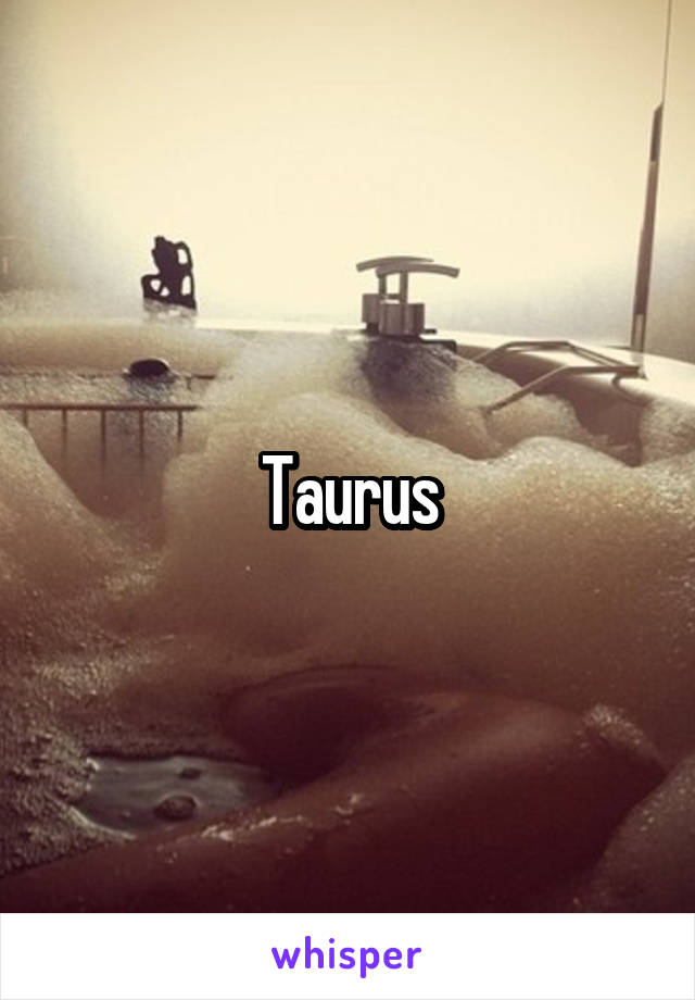 Taurus