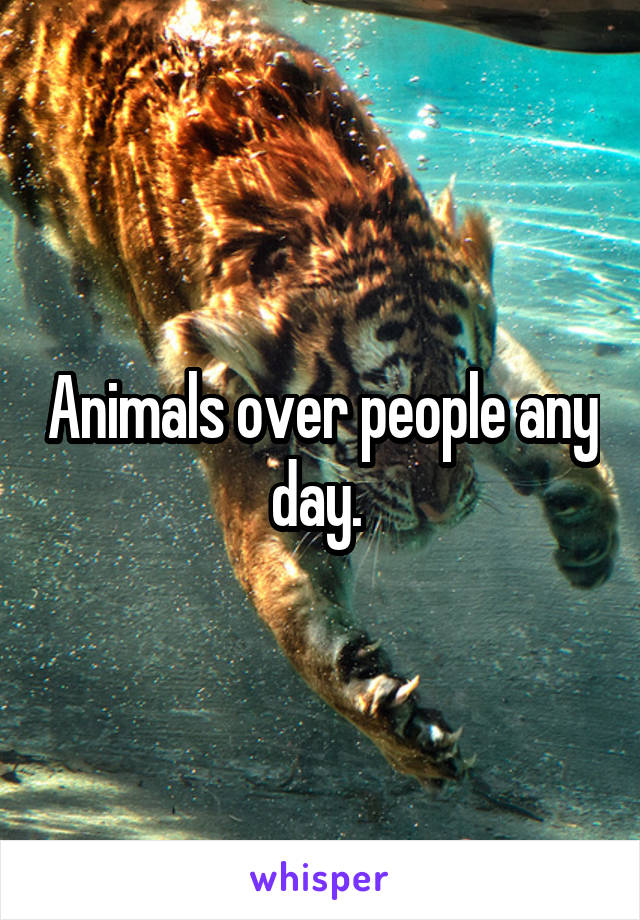 Animals over people any day. 