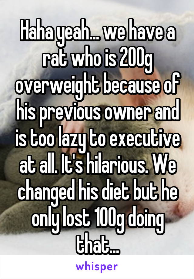 Haha yeah... we have a rat who is 200g overweight because of his previous owner and is too lazy to executive at all. It's hilarious. We changed his diet but he only lost 100g doing that...