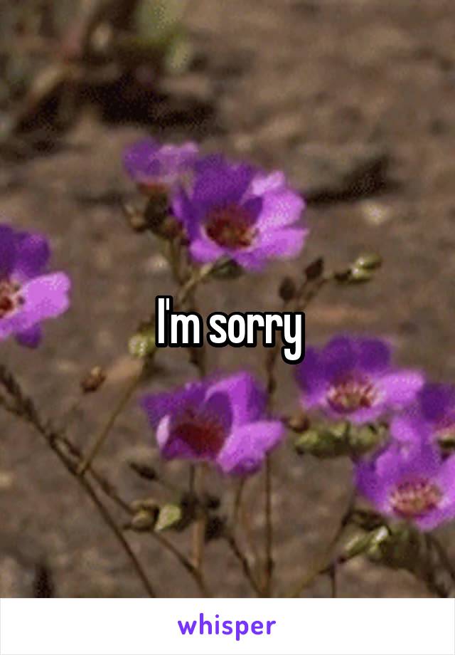 I'm sorry