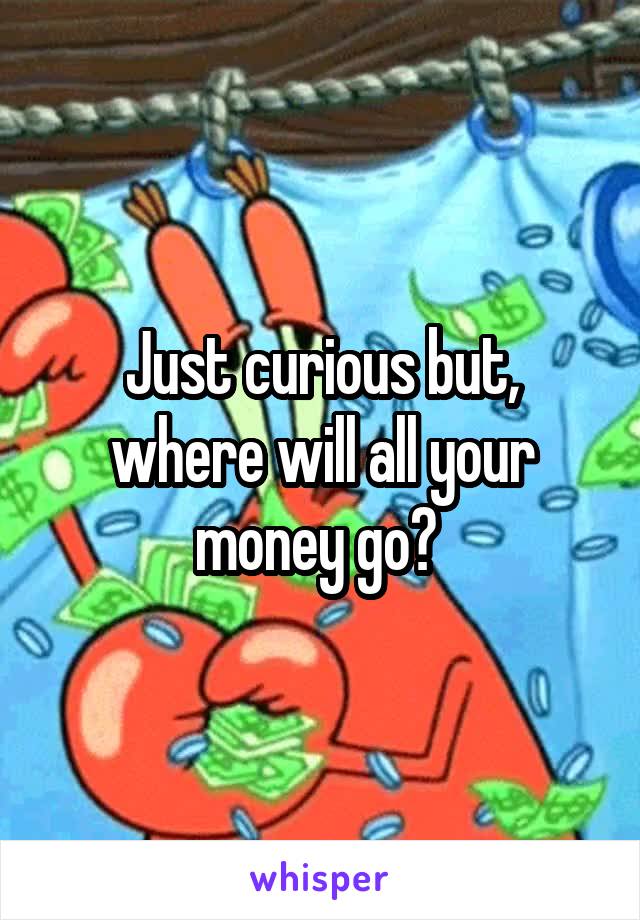 Just curious but, where will all your money go? 