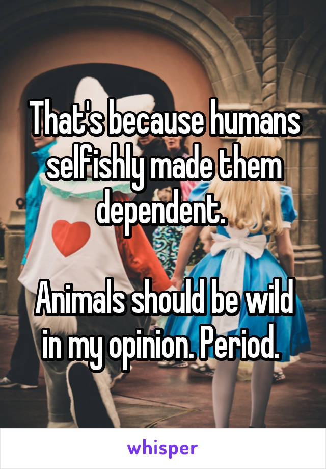 That's because humans selfishly made them dependent. 

Animals should be wild in my opinion. Period. 