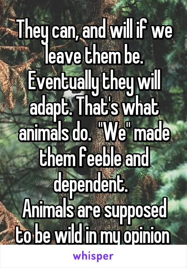 They can, and will if we leave them be. Eventually they will adapt. That's what animals do.  "We" made them feeble and dependent.  
Animals are supposed to be wild in my opinion 