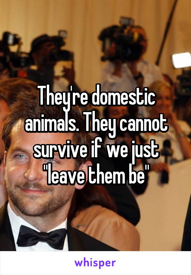 They're domestic animals. They cannot survive if we just "leave them be"