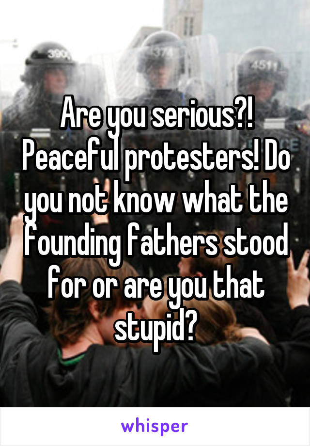 Are you serious?! Peaceful protesters! Do you not know what the founding fathers stood for or are you that stupid?