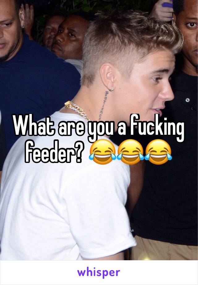 What are you a fucking feeder? 😂😂😂