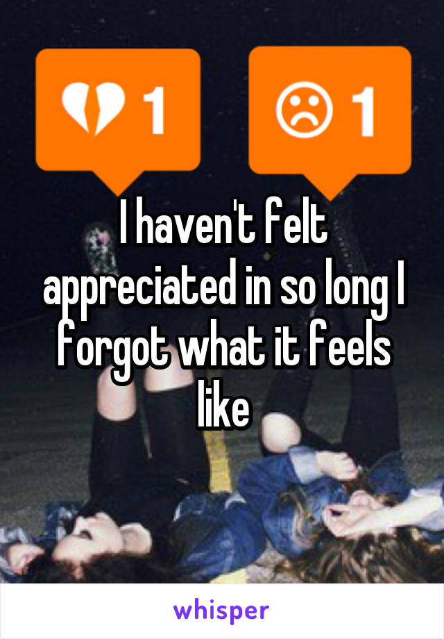 I haven't felt appreciated in so long I forgot what it feels like