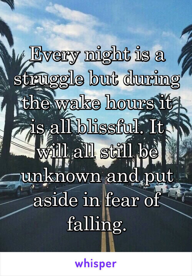 Every night is a struggle but during the wake hours it is all blissful. It will all still be unknown and put aside in fear of falling.