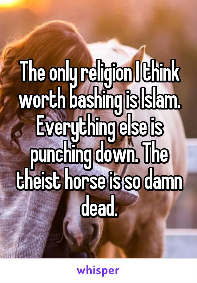 The only religion I think worth bashing is Islam. Everything else is punching down. The theist horse is so damn dead.