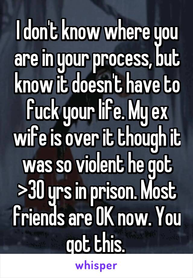 I don't know where you are in your process, but know it doesn't have to fuck your life. My ex wife is over it though it was so violent he got >30 yrs in prison. Most friends are OK now. You got this. 