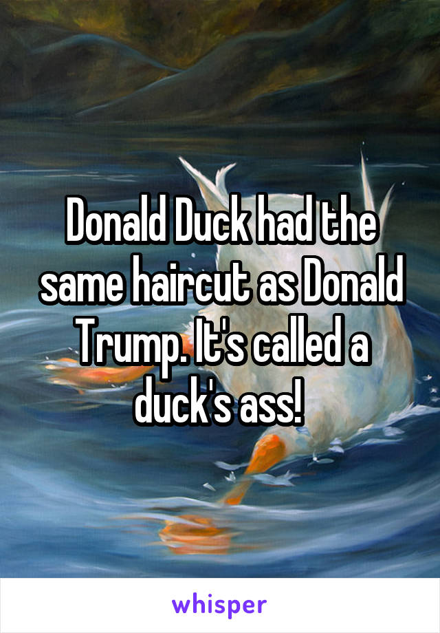 Donald Duck had the same haircut as Donald Trump. It's called a duck's ass! 