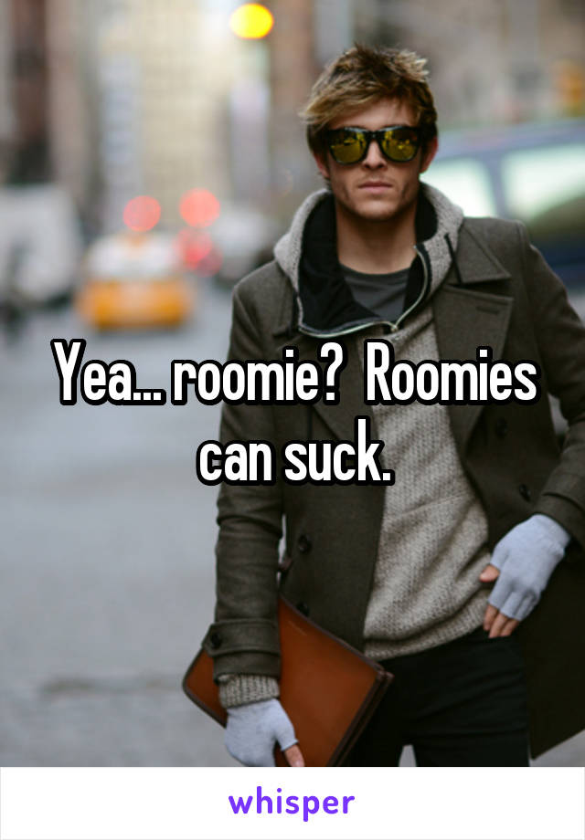 Yea... roomie?  Roomies can suck.