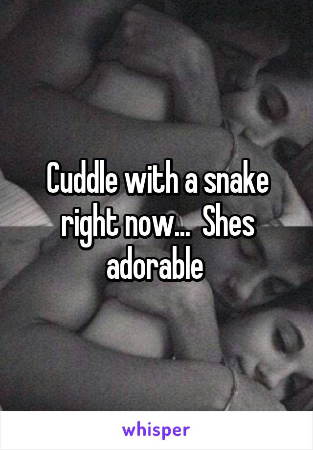 Cuddle with a snake right now...  Shes adorable 