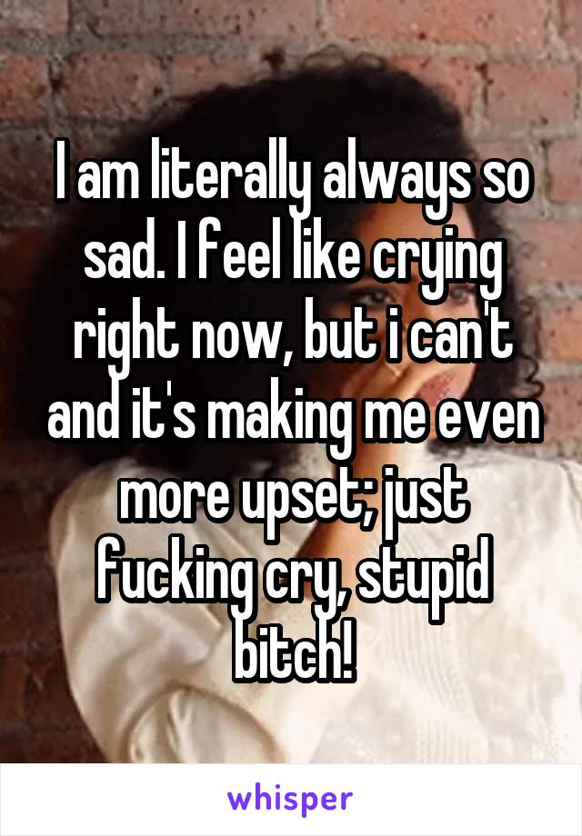 I am literally always so sad. I feel like crying right now, but i can't and it's making me even more upset; just fucking cry, stupid bitch!