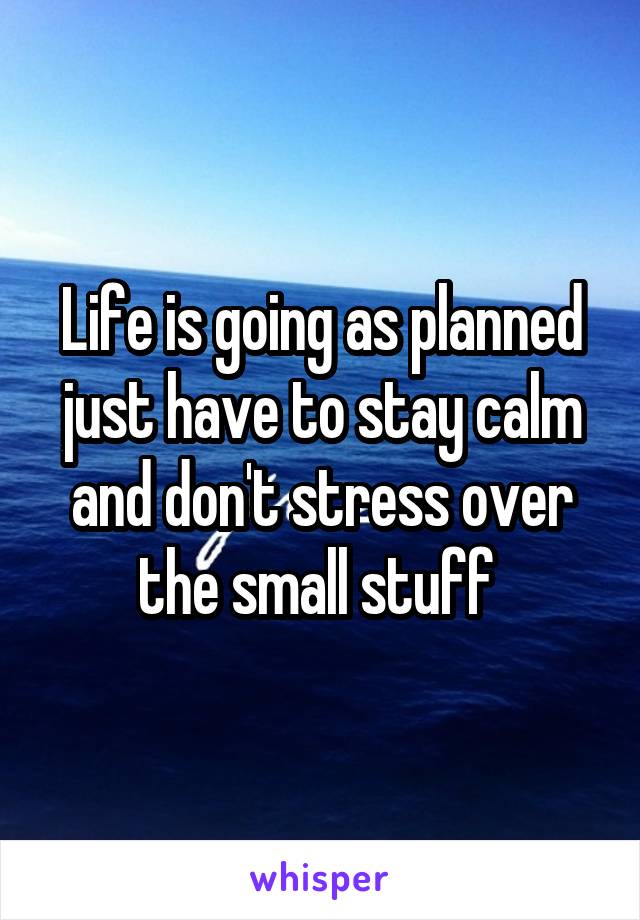 Life is going as planned just have to stay calm and don't stress over the small stuff 
