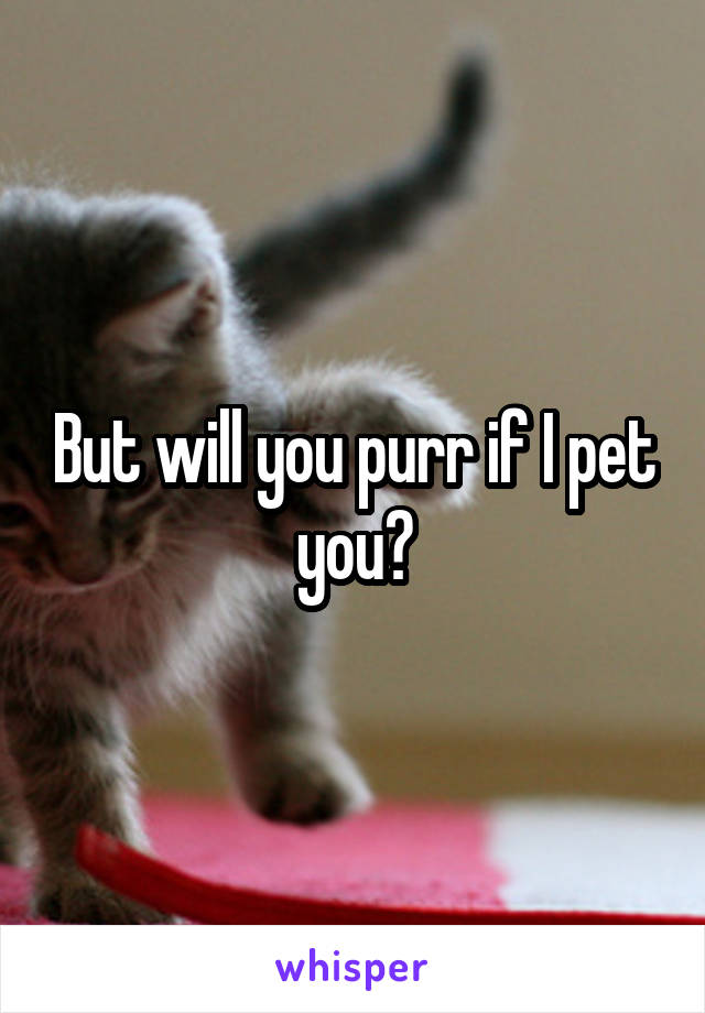 But will you purr if I pet you?