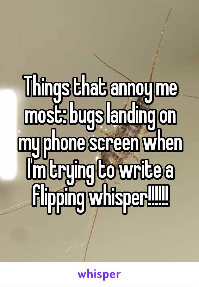 Things that annoy me most: bugs landing on my phone screen when I'm trying to write a flipping whisper!!!!!!