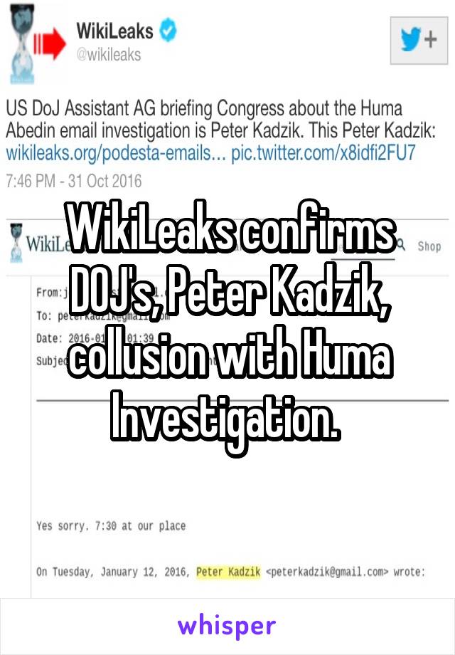 WikiLeaks confirms DOJ's, Peter Kadzik, collusion with Huma Investigation. 