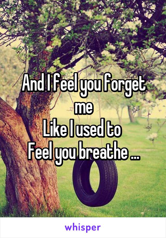 And I feel you forget me
Like I used to 
Feel you breathe ...