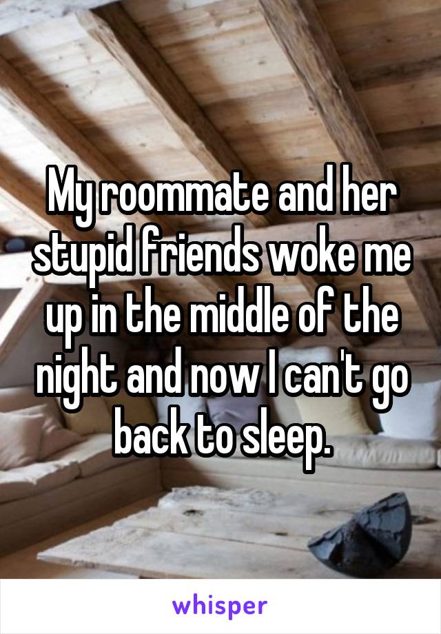 My roommate and her stupid friends woke me up in the middle of the night and now I can't go back to sleep.