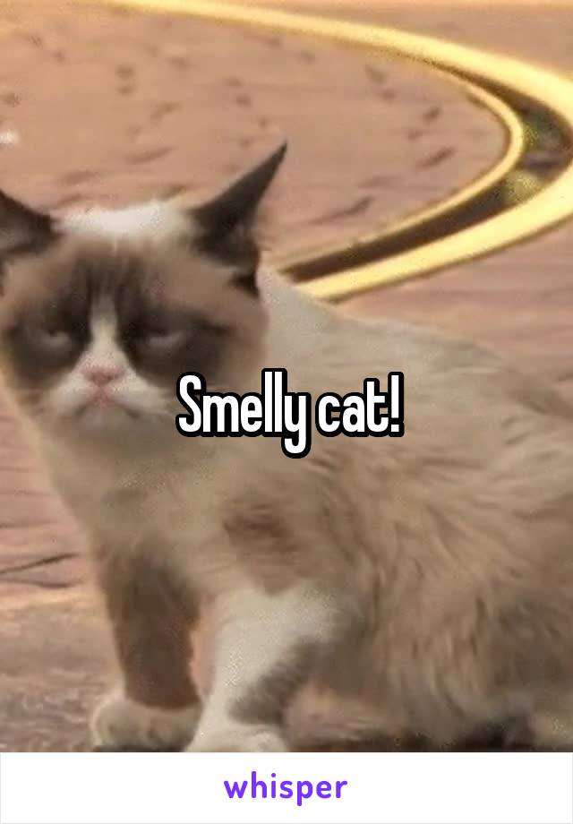 Smelly cat!