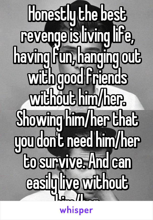Honestly the best revenge is living life, having fun, hanging out with good friends without him/her. Showing him/her that you don't need him/her to survive. And can easily live without him/her