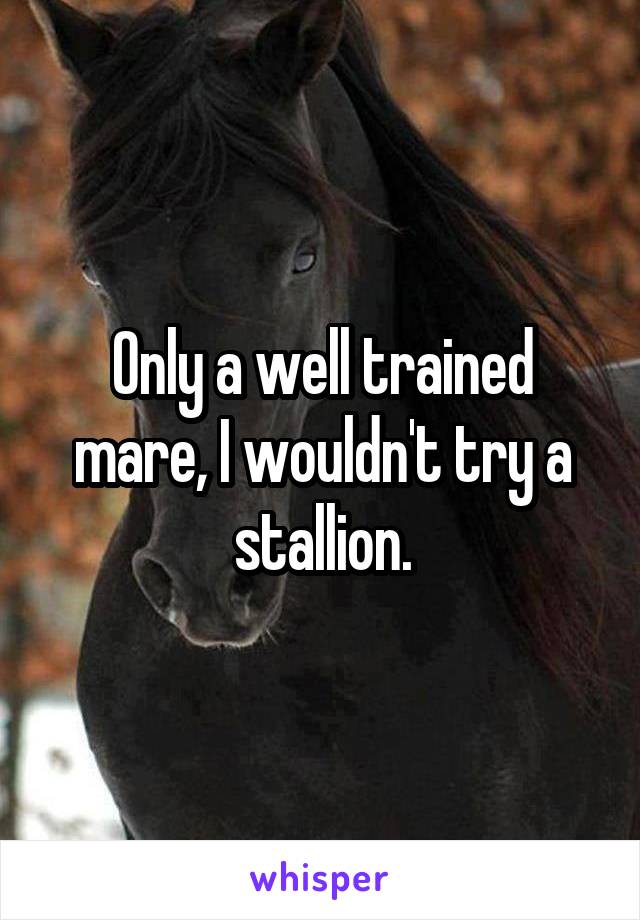 Only a well trained mare, I wouldn't try a stallion.