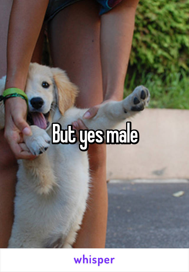 But yes male