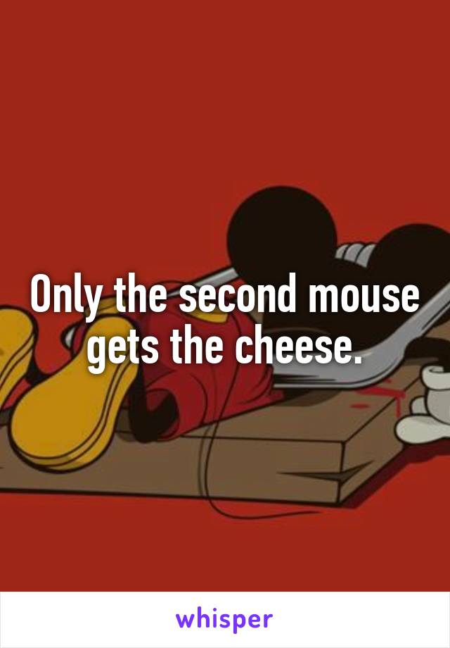 Only the second mouse gets the cheese.